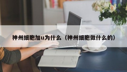 神州细胞加u为什么（神州细胞做什么的）