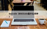 bsccoin（BSCCoin是什么币种）