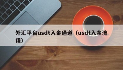 外汇平台usdt入金通道（usdt入金流程）
