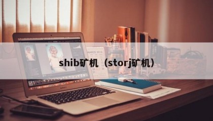 shib矿机（storj矿机）