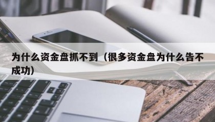 为什么资金盘抓不到（很多资金盘为什么告不成功）